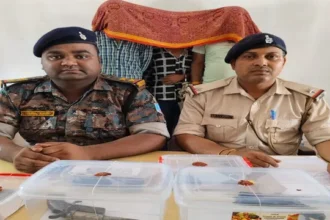 देवघर में ATS का बड़ा एक्शन: मेड इन USA' पिस्टल के साथ अंतरराज्यीय गिरोह के 3 सदस्य गिरफ्तार