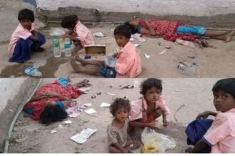 लोहरदगा में कचरे से खाना ढूंढकर खाते बच्चों की तस्वीर आई सामने, मुख्यमंत्री हेमंत सोरेन ने उपायुक्त को दिया आवश्यक मदद करने का निर्देश