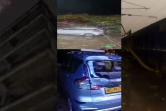 बिहार में आंधी-तूफान का कहर, पटना में निर्माणाधीन बिल्डिंग की दीवार गिरी, रघुनाथपुर में रेलवे ट्रैक और बक्सर में ई-रिक्शा पर गिरा पेड़