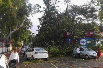 पटना में आंधी-पानी ने मचाई तबाही,कई जगहों पर पेड़ टूटे,जनजीवन अस्त-व्यस्त