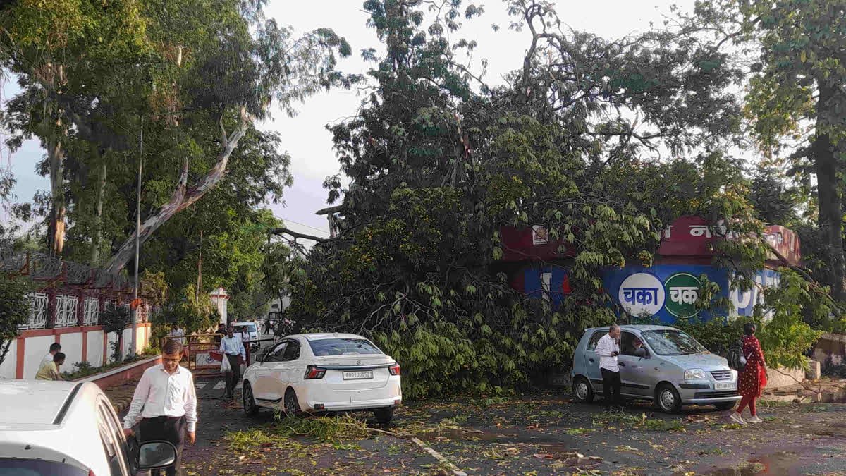 पटना में आंधी-पानी ने मचाई तबाही,कई जगहों पर पेड़ टूटे,जनजीवन अस्त-व्यस्त
