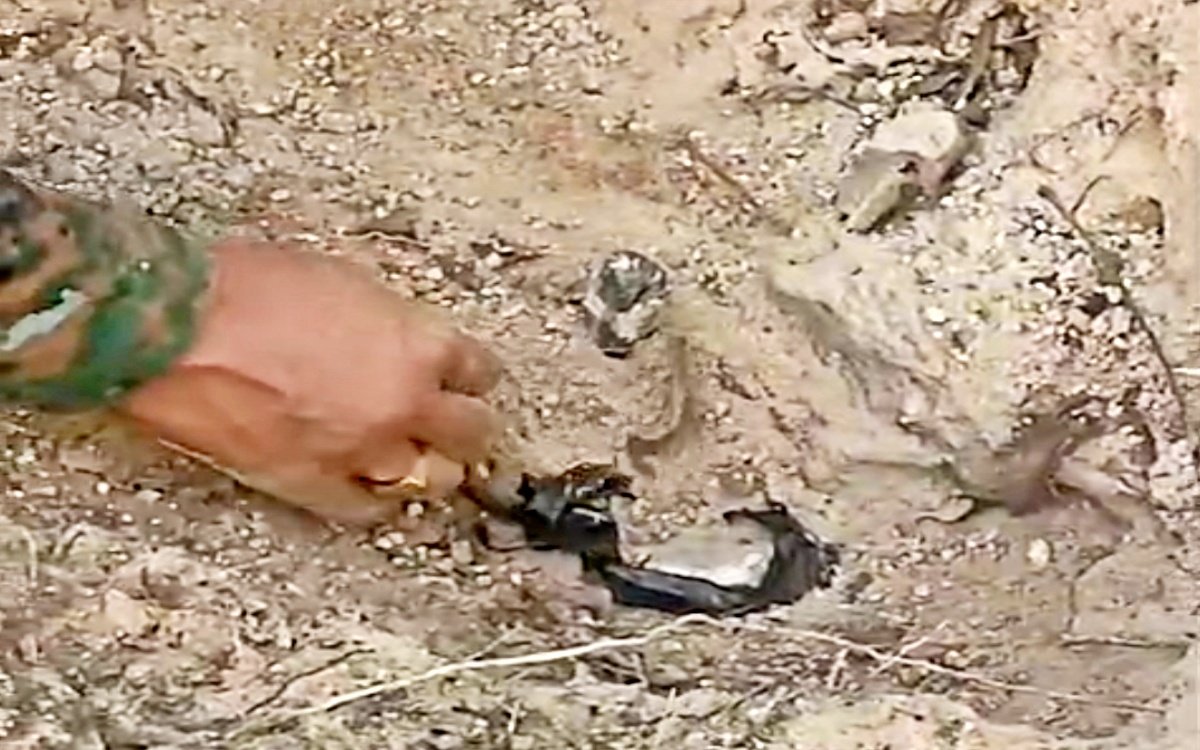 गयाजी में नक्सलियों की साजिश नाकाम, CRPF ने डिफ्यूज किया 5KG का शक्तिशाली प्रेशर IED 1 26728619 gg