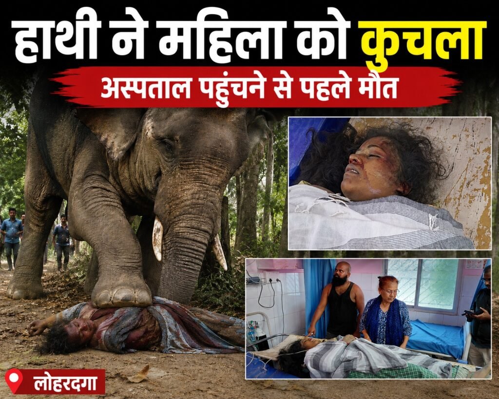 Elephant crushes woman harvesting wheat in Lohardaga, villagers in panic