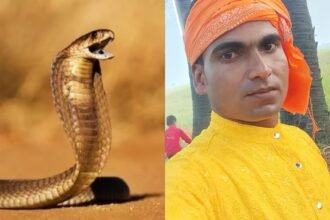 दूल्हे को सांप ने कांटा, हल्दी की रात शादी की खुशियां मातम में बदली