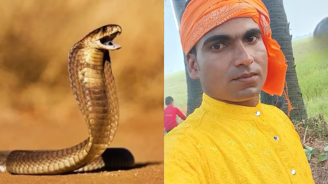 दूल्हे को सांप ने कांटा, हल्दी की रात शादी की खुशियां मातम में बदली