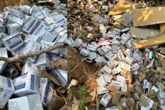 लातेहार के जंगल में फेंकी गई सरकारी दवाइयां, बाबूलाल मरांडी ने स्वास्थ्य मंत्री और सरकार को घेरा