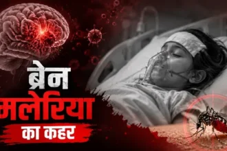 पूर्वी सिंहभूम के पोटका में ब्रेन मेलेरिया के 6 और मरीज मिले, आंकड़ा 15 के पार, दो दिन में तीन की मौत