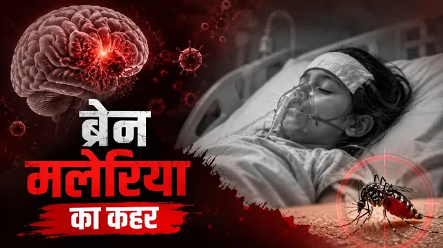 पूर्वी सिंहभूम के पोटका में ब्रेन मेलेरिया के 6 और मरीज मिले, आंकड़ा 15 के पार, दो दिन में तीन की मौत
