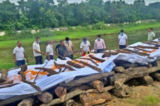 रांची रिम्स में रखे 43 लावारिस शवों का सामूहिक अंतिम संस्कार, जुमार नदी तट पर दी गई अंतिम विदाई