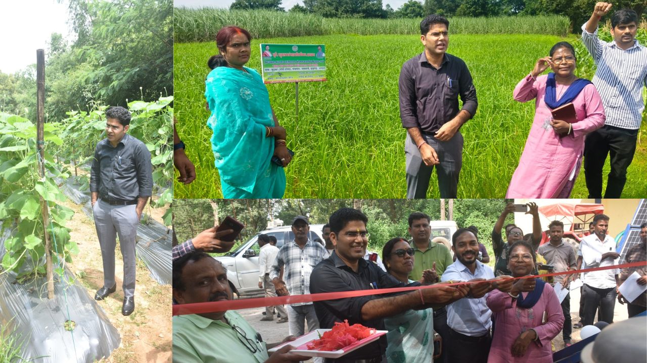 लोहरदगा उपायुक्त ने सेन्हा व भंडरा प्रखंड में कृषि एवं मत्स्य विभाग की योजनाओं का किया निरीक्षण, किसानों से लिया फीडबैक