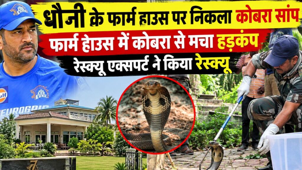 धौनी के फार्म हाउस पर निकला कोबरा सांप, मचा हड़कंप, रेस्क्यू एक्सपर्ट ने किया रेस्क्यू