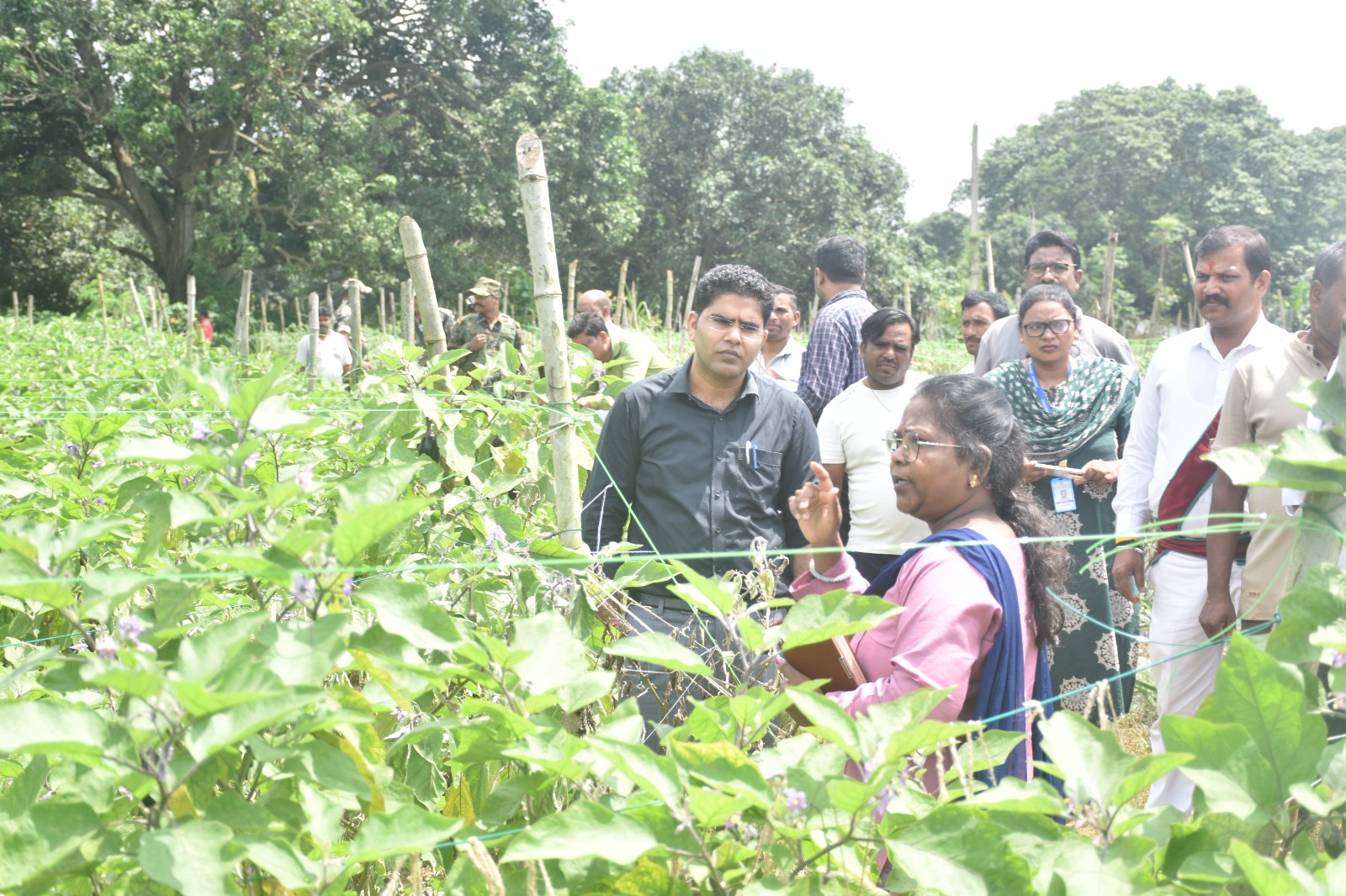 लोहरदगा उपायुक्त ने सेन्हा व भंडरा प्रखंड में कृषि एवं मत्स्य विभाग की योजनाओं का किया निरीक्षण, किसानों से लिया फीडबैक 5 WhatsApp Image 2026 09 12 at 6.23.06 PM