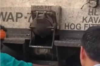 पटना-रांची जनशताब्दी के इंजन से लटका मिला महिला का कटा सिर, हत्या के बाद छिपाया गया था