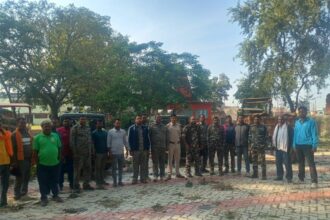 हजारीबाग में अवैध आरा मिल पर वन विभाग की छापेमारी, मशीन समेत लकड़ी जब्त