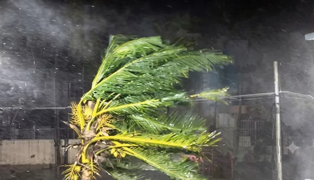 Cyclone Arnab के प्रभाव से झारखंड में बारिश, आज तेज हवा का भी अलर्ट