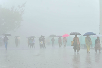 himachal rain