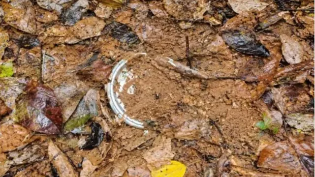 पश्चिमी सिंहभूम के सारंडा में 2 IED बरामद, सुरक्षाबलों ने किए डिफ्यूज